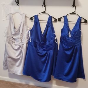 David's Bridal Cocktail/Bridesmaid Dress (4 total)